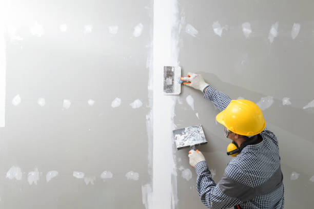 Best Commercial Painting  in Ashwaubenon, WI